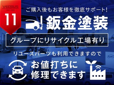2025 Toyota ALPHARD — фото 51