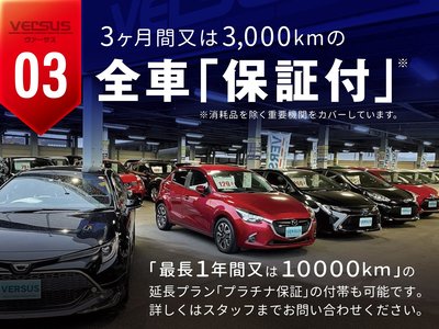 2025 Toyota ALPHARD — фото 43