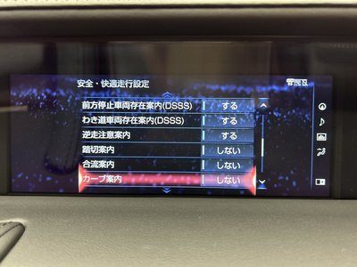 2018 Lexus LC photo 14