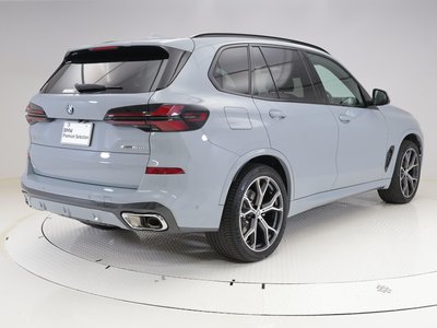 2024 BMW X5 照片 9