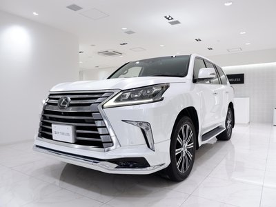 2021 Lexus LX photo 11