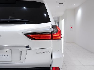 2021 Lexus LX thumbnail 20