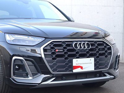 2025 AUDI SQ5 SPORTBACK thumbnail 57