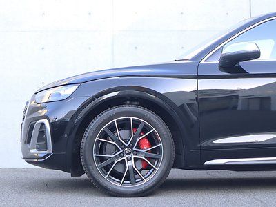 2025 AUDI SQ5 SPORTBACK thumbnail 125