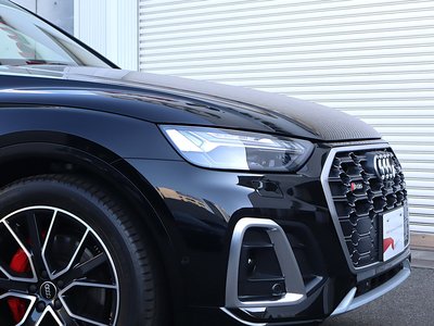 2025 AUDI SQ5 SPORTBACK thumbnail 47
