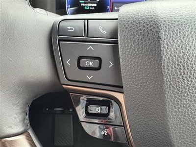2023 Toyota ALPHARD 照片 11
