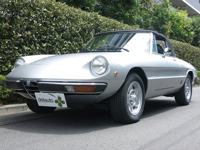 1981 ALFA Romeo ALFA SPIDER 照片 1