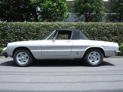 1981 ALFA Romeo ALFA SPIDER 照片 8