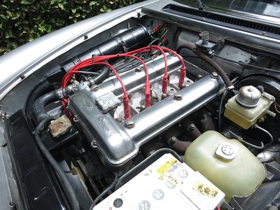 1981 ALFA Romeo ALFA SPIDER 照片 14