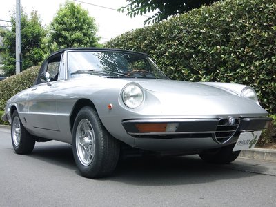 1981 ALFA Romeo ALFA SPIDER 照片 2