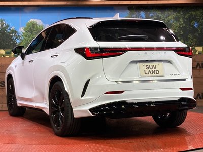 2023 Lexus NX thumbnail 30