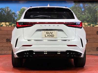 2023 Lexus NX photo 15