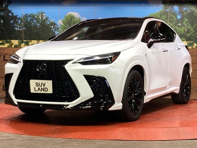2023 Lexus NX thumbnail 28