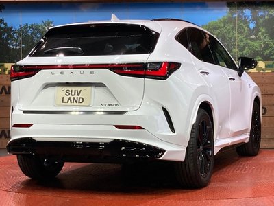 2023 Lexus NX thumbnail 17