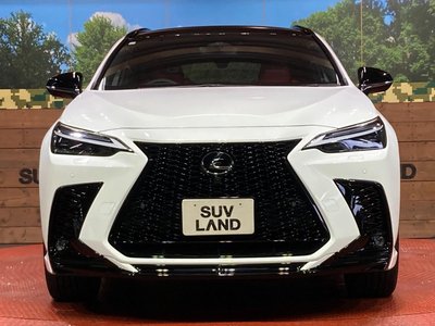 2023 Lexus NX photo 14