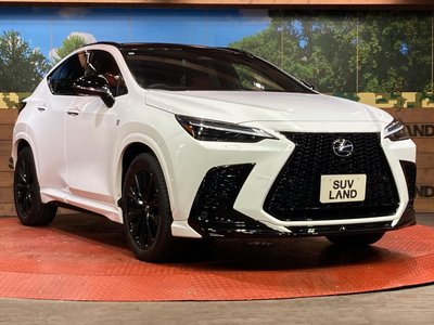 2023 Lexus NX photo 16