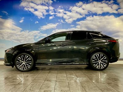 2023 Lexus RZ 照片 20
