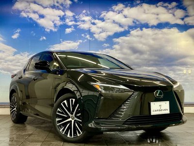 2023 Lexus RZ 照片 17