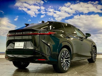 2023 Lexus RZ 照片 22