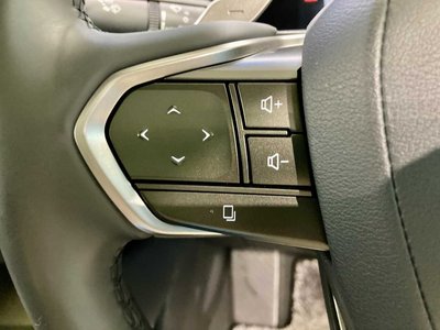 2023 Lexus RZ 照片 33