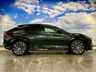 2023 Lexus RZ 照片 18