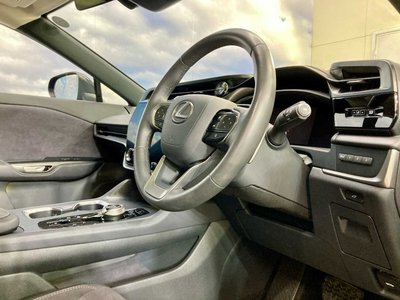 2023 Lexus RZ 照片 30