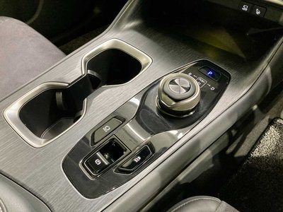 2023 Lexus RZ 照片 74