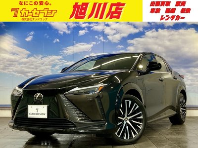 صورة 1 لـ 2023 Lexus RZ