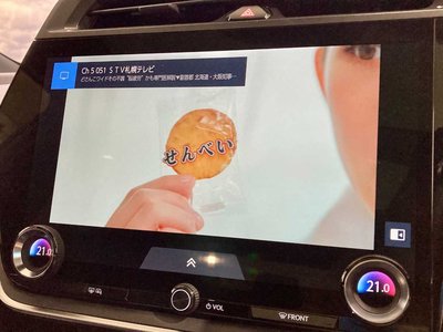 2023 Lexus RZ 照片 36