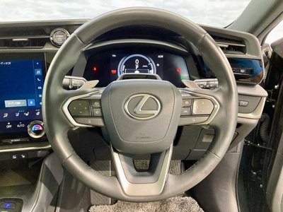 2023 Lexus RZ 照片 31