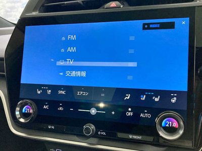 2023 Lexus RZ 照片 37