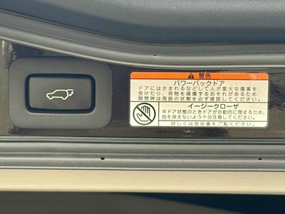 2016 Lexus LX thumbnail 29