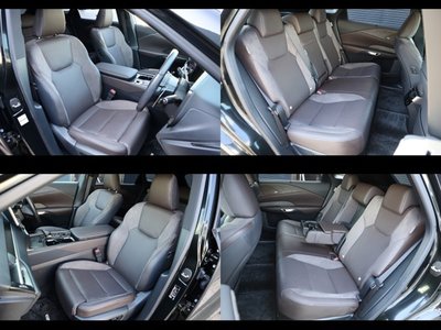 2024 Lexus RX 照片 18