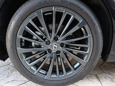 2024 Lexus RX 照片 44