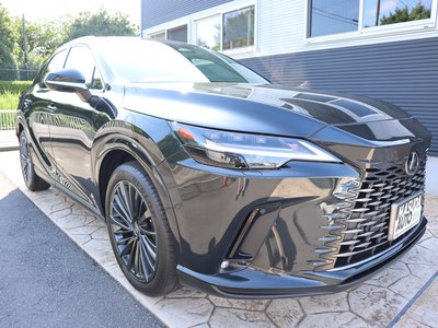 2024 Lexus RX 照片 3