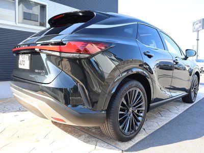 2024 Lexus RX 照片 7