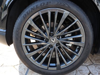 2024 Lexus RX 照片 46