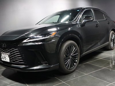 2024 Lexus RX 照片 1