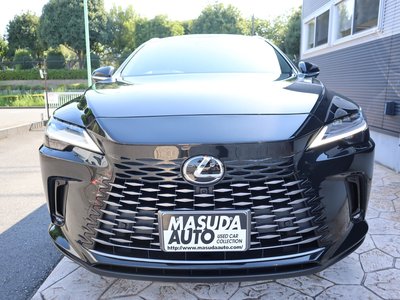 2024 Lexus RX 照片 2