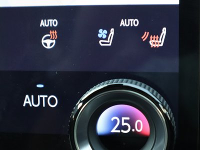 2024 Lexus RX 照片 32