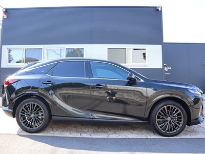 2024 Lexus RX 照片 4