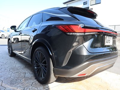 2024 Lexus RX 照片 5