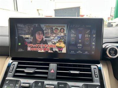 2023 Toyota LAND CRUISER 300 photo 16