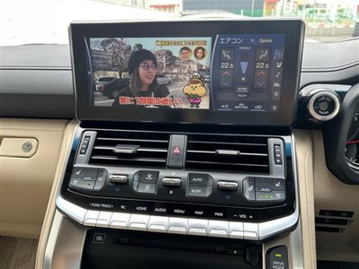 2023 Toyota LAND CRUISER 300 thumbnail 18