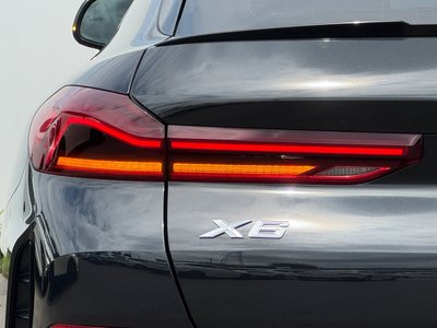 2021 BMW X6 thumbnail 17