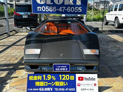 صورة 8 لـ 1993 Lamborghini COUNTACH
