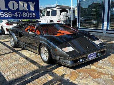 صورة 10 لـ 1993 Lamborghini COUNTACH