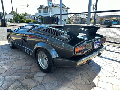 صورة 11 لـ 1993 Lamborghini COUNTACH