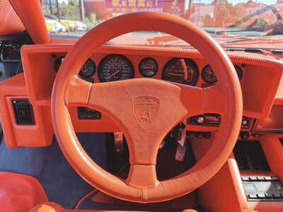 1993 Lamborghini COUNTACH 照片 25