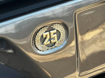 1993 Lamborghini COUNTACH 照片 124